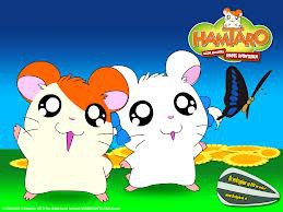 ...hamtaro